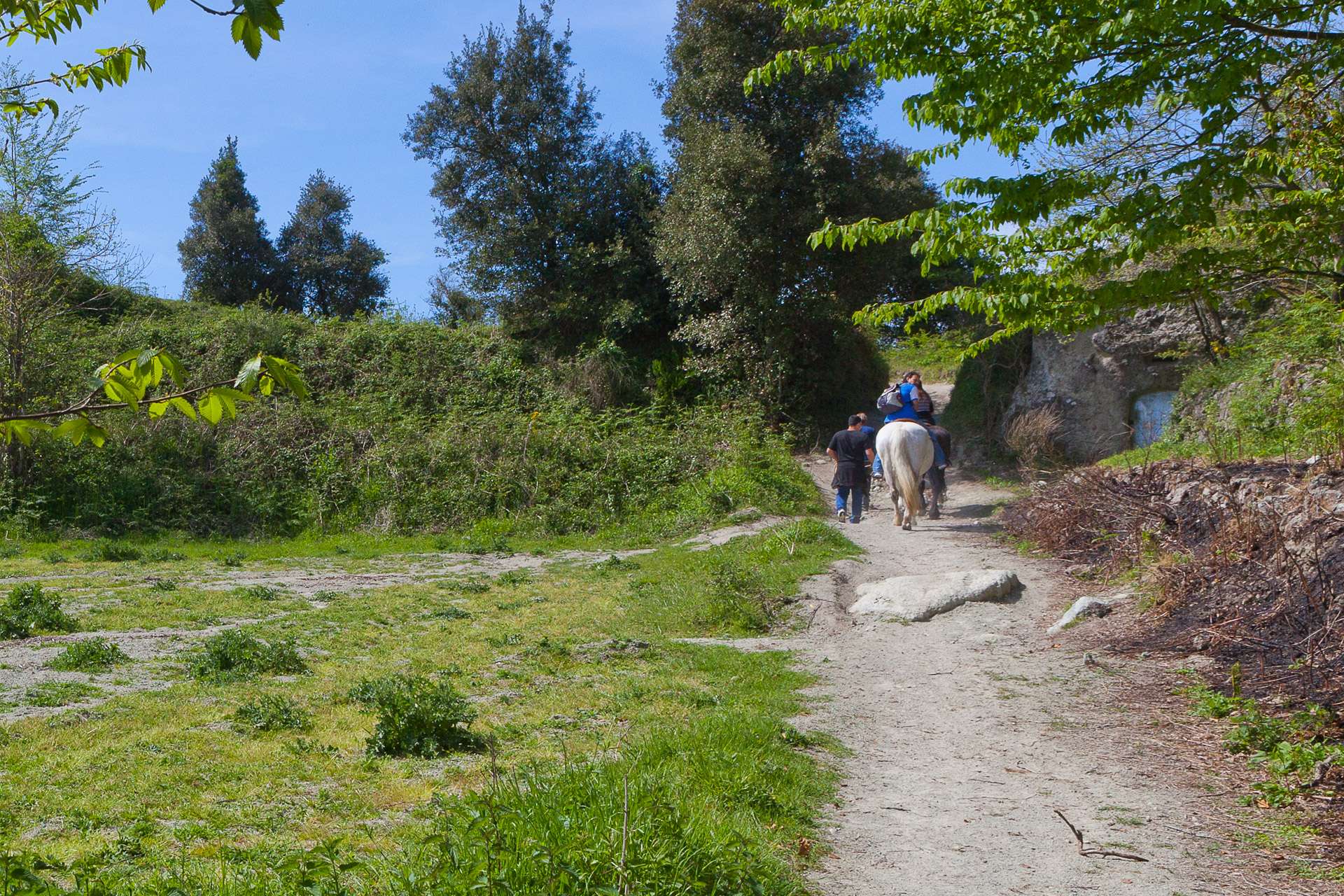 Ischia a cavallo: passeggiate equestri in pineta ed in montagna Ischia a cavallo: passeggiate equestri in pineta ed in montagna
