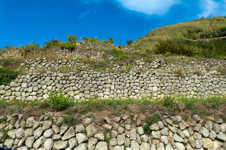 Mura a secco attorno a stradine e campi. Le parracine ischitane