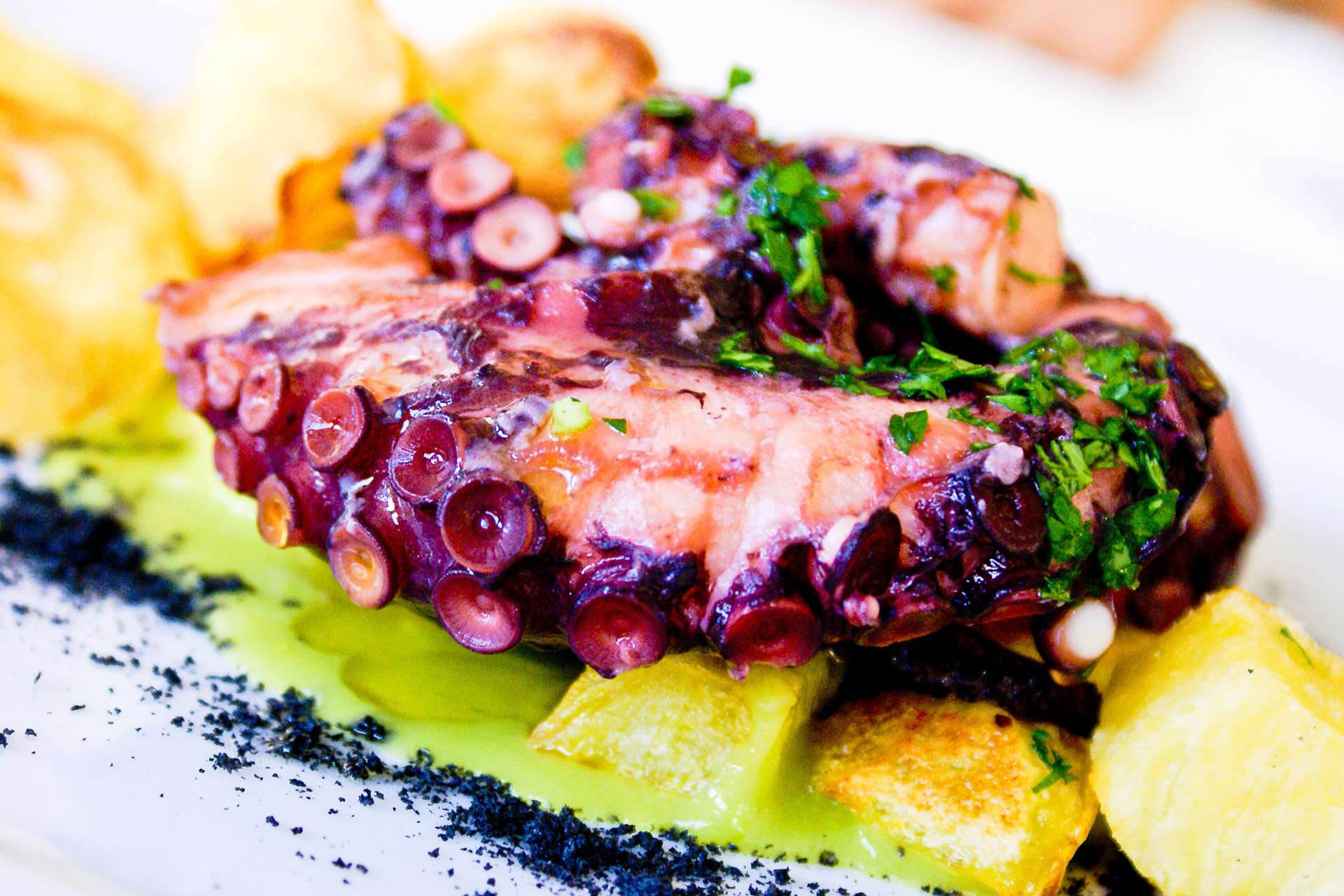 Antichi sapori di mare: il polpo