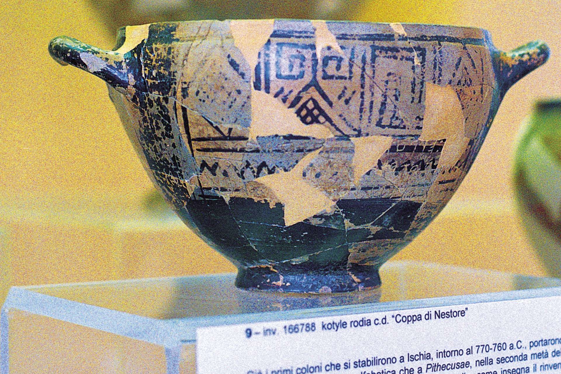 Archaeological Museum of Pithecusae Villa Arbusto